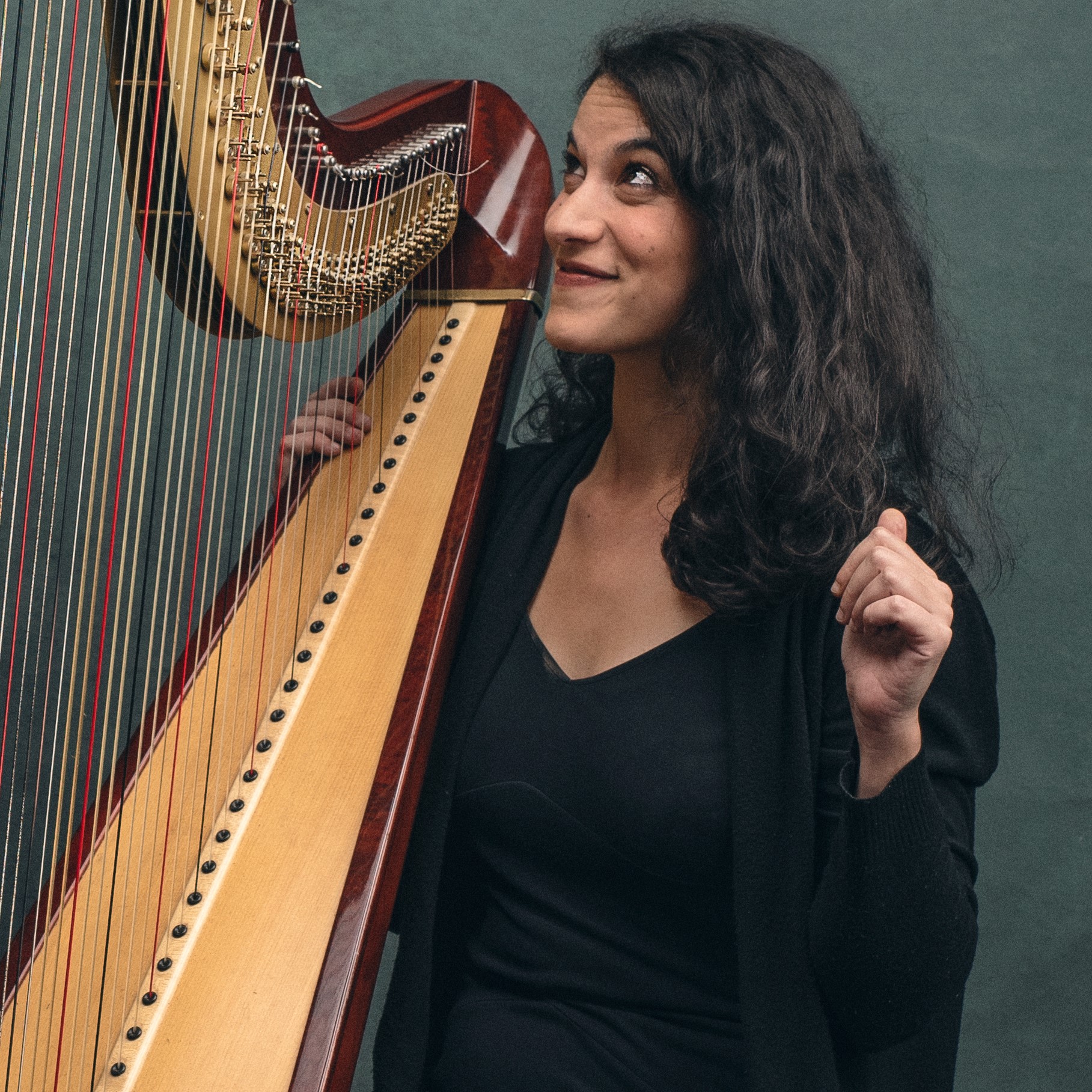 Ada Ragimov<br><span class="player">Harp</span>